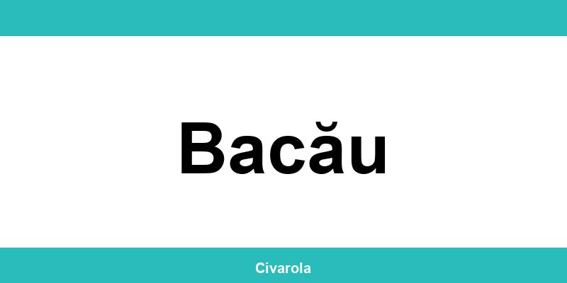Serviciul de Stare Civilă Bacău: programare online