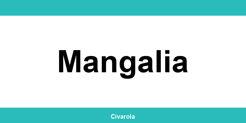 Serviciul de Stare Civilă Mangalia: programare online