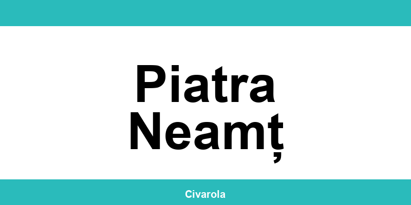 Serviciul de Stare Civilă Piatra Neamț: programare online