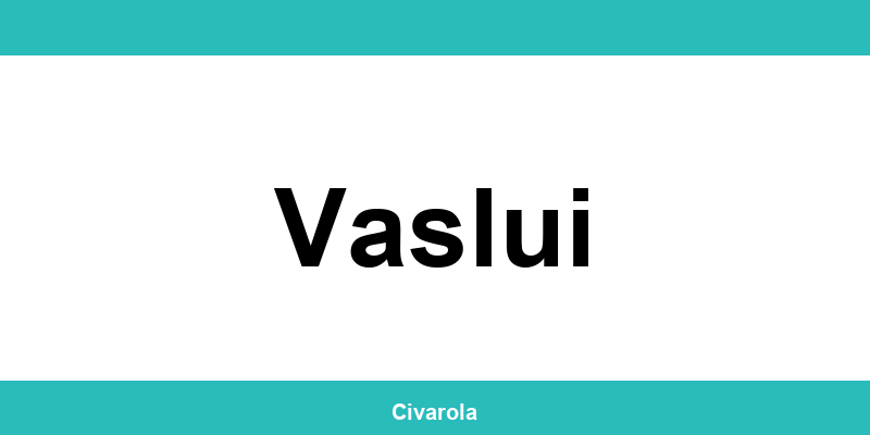 Serviciul de Stare Civilă Vaslui: programare online