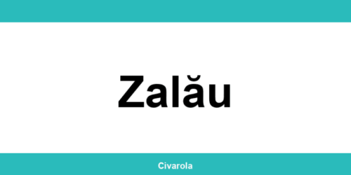Serviciul de Stare Civilă Zalău: programare online