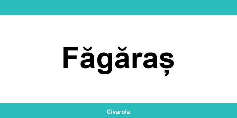 Serviciul de Stare Civilă Făgăraș: programare online