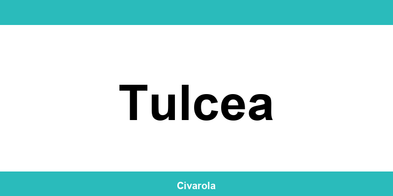 Serviciul de Stare Civilă Tulcea: programare online